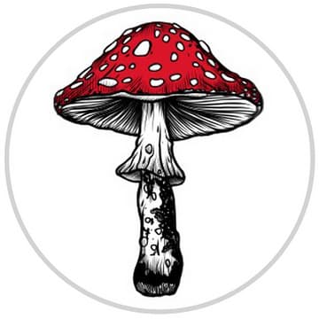 agaric