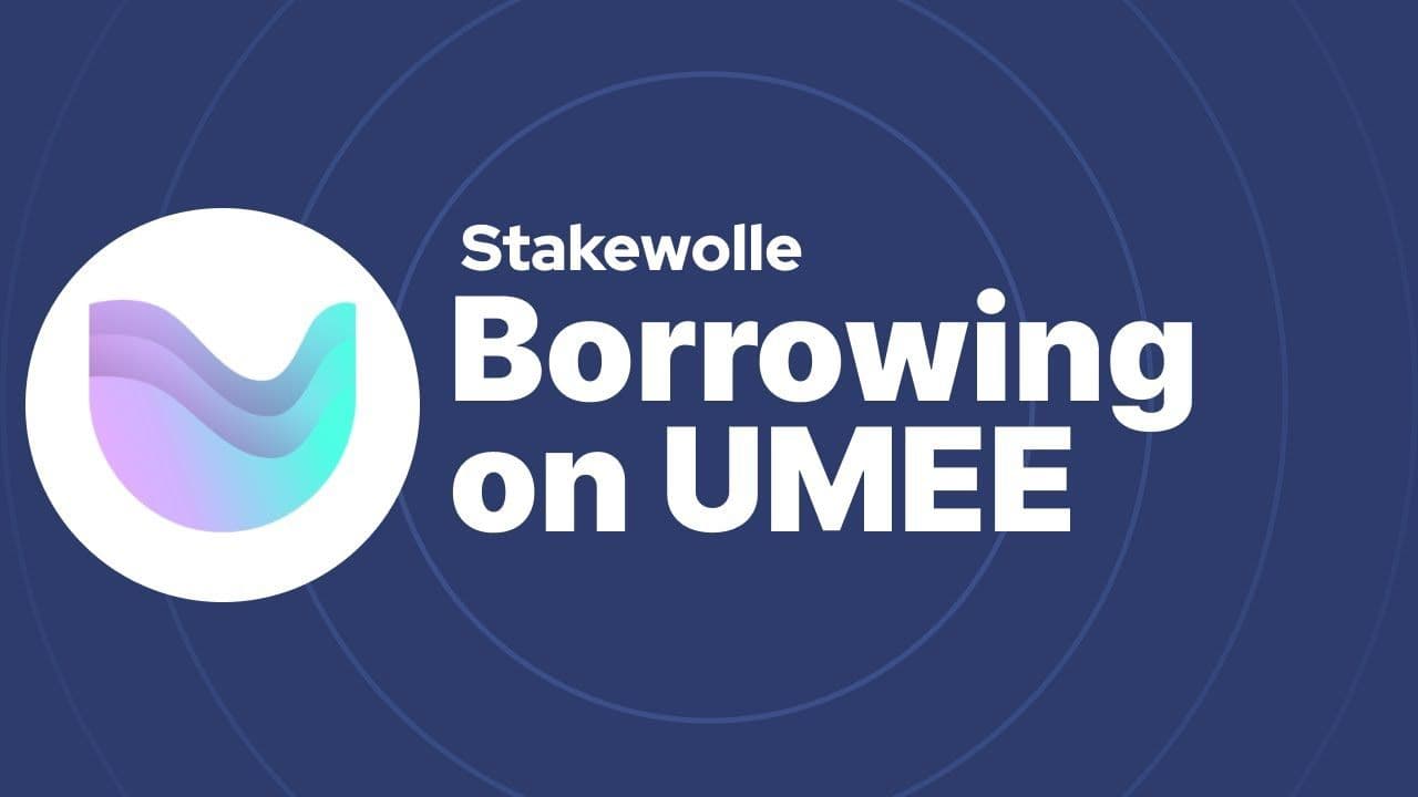 Borrowing on UMEE
